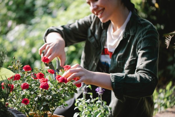 Plant protection